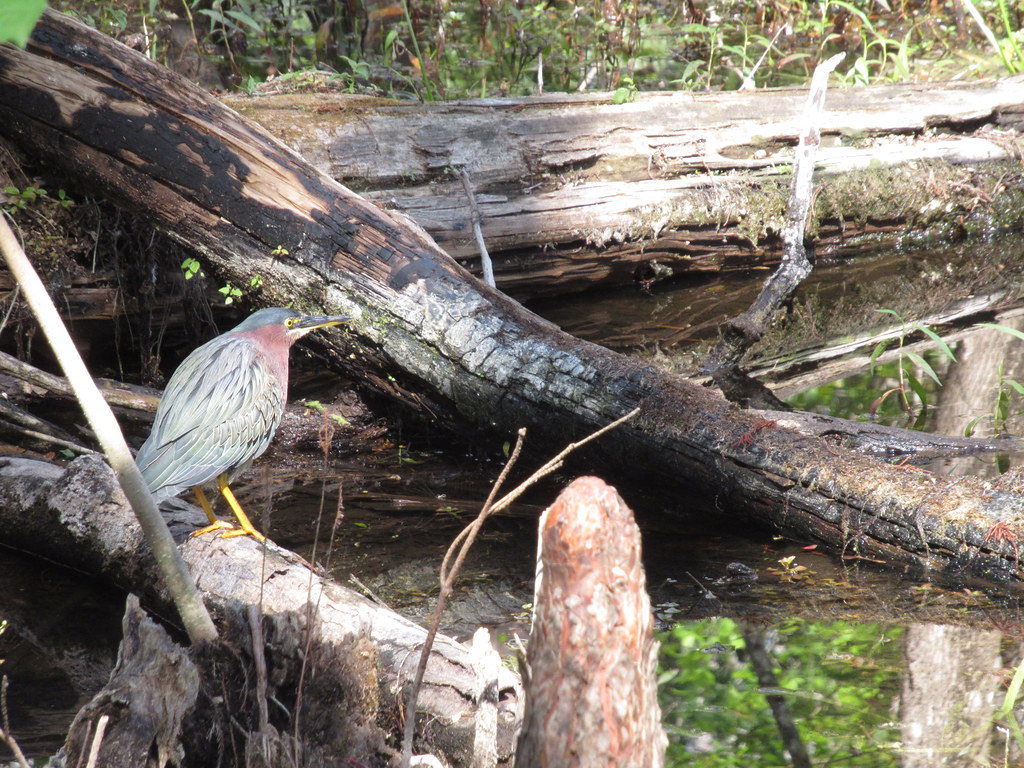 Visit Florida - Photo officielle