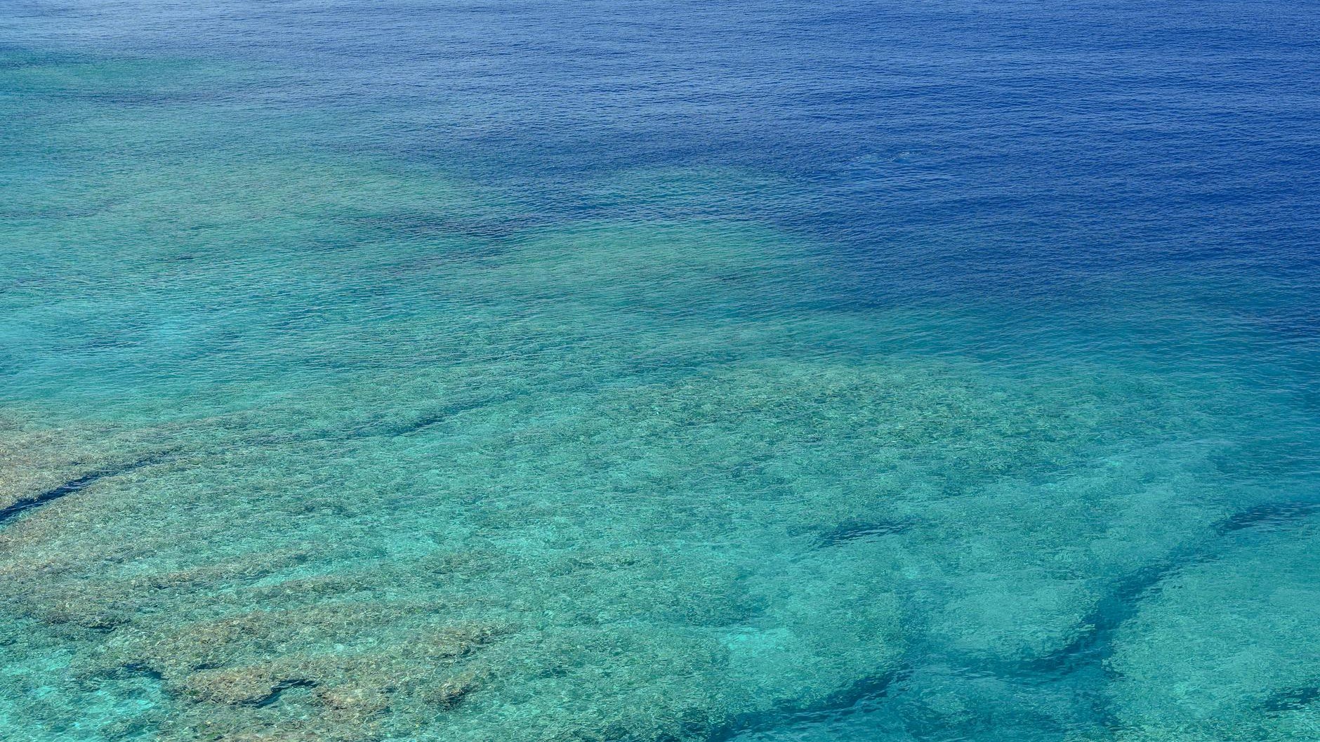 Fini le Japon sous la neige : cette île paradisiaque offre 20°C en février